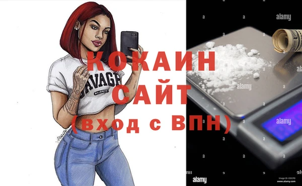 хмурый Алексин