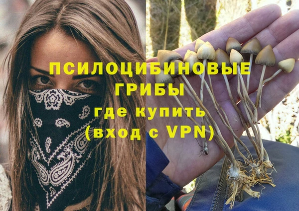 прущие крисы Алексеевка
