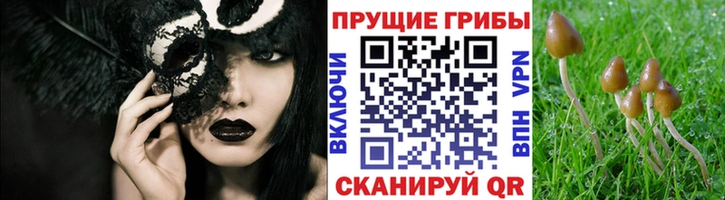 Галлюциногенные грибы ЛСД  где можно купить   Холм 