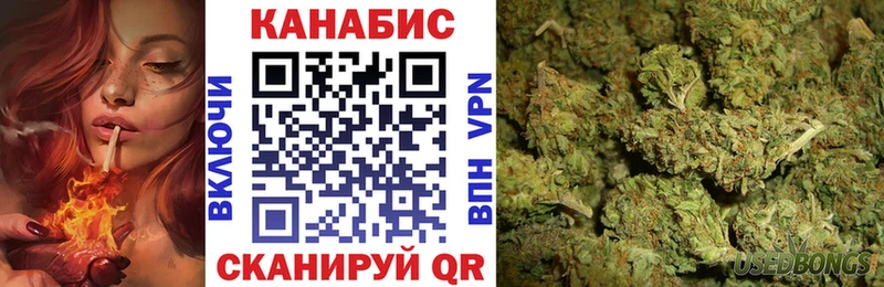 Конопля гибрид  Холм 